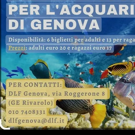 Appartement - Ripa Maris