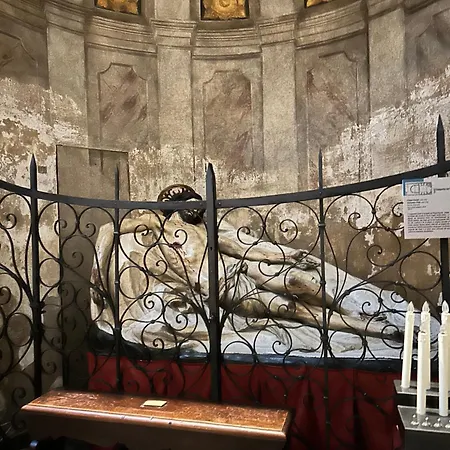 - Ripa Maris Daire *